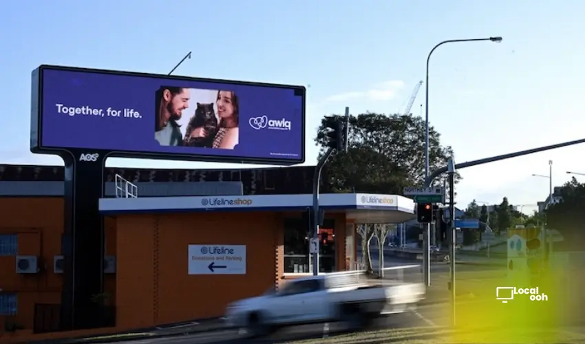 AWLQ Puts People And Animals Together