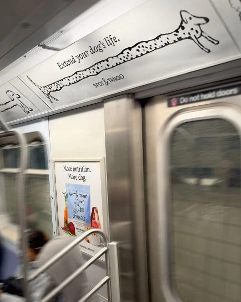 Spot and Tango long dog illustration running across the overhead advertising space beside subway doors in New York City.