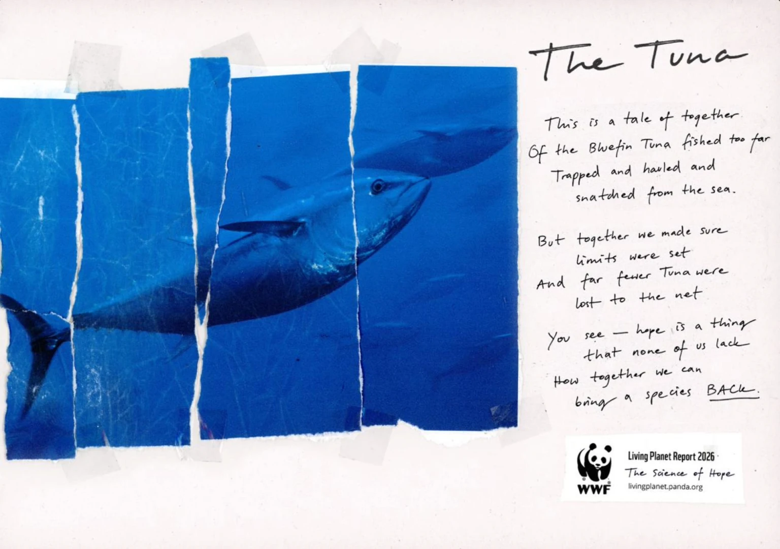 WWF Living Planet Report 2026 bluefin tuna conservation OOH creative featuring a torn-paper photograph and handwritten Science of Hope poem.